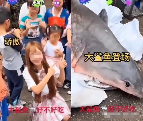 白鲨爆料比赛视频完整版,比赛视频完整版深度解析  第2张